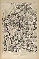  no thumbnail available