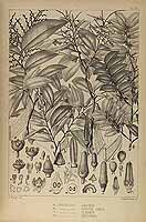  no thumbnail available