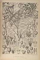  no thumbnail available