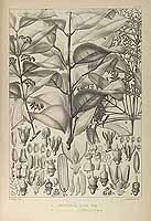  no thumbnail available