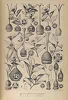  no thumbnail available