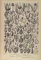  no thumbnail available