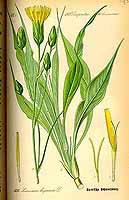  no thumbnail available