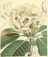  no thumbnail available