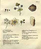  no thumbnail available