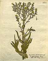  no thumbnail available