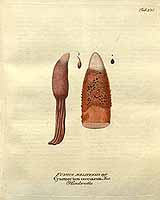  no thumbnail available