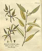  no thumbnail available