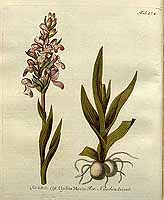  no thumbnail available