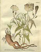  no thumbnail available