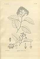  no thumbnail available