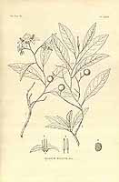  no thumbnail available