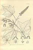  no thumbnail available