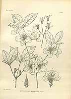  no thumbnail available