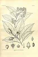  no thumbnail available