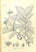  no thumbnail available