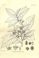  no thumbnail available