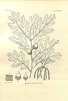  no thumbnail available