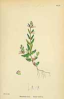  no thumbnail available