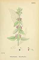  no thumbnail available