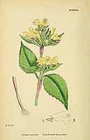  no thumbnail available