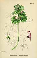  no thumbnail available