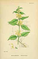  no thumbnail available