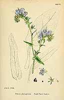  no thumbnail available