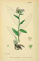  no thumbnail available