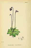  no thumbnail available