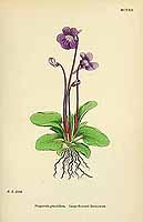  no thumbnail available