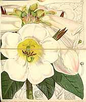  no thumbnail available