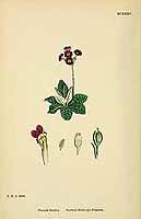  no thumbnail available