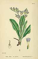  no thumbnail available