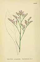  no thumbnail available