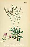  no thumbnail available