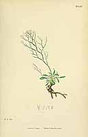  no thumbnail available