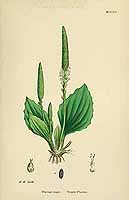  no thumbnail available