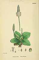  no thumbnail available