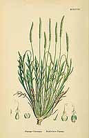  no thumbnail available