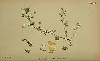  no thumbnail available