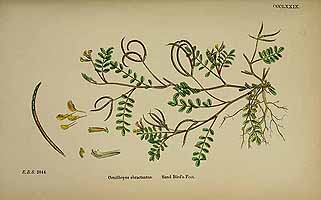  no thumbnail available