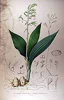  no thumbnail available