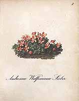  no thumbnail available