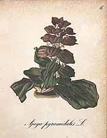  no thumbnail available