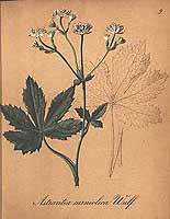  no thumbnail available