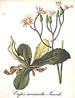  no thumbnail available