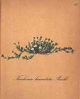  no thumbnail available