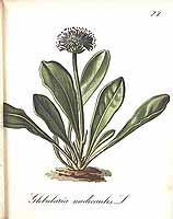  no thumbnail available