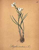  no thumbnail available